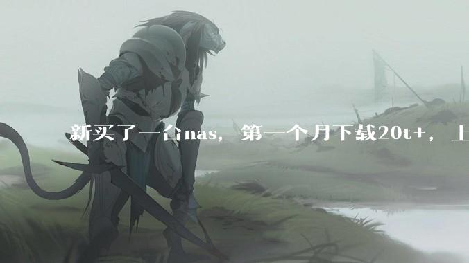 新买了一台nas，第一个月下载20t+，上传5+，不会被网警盯上吧?