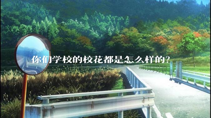 你们学校的校花都是怎么样的？