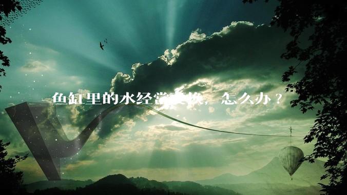 鱼缸里的水经常要换，怎么办?