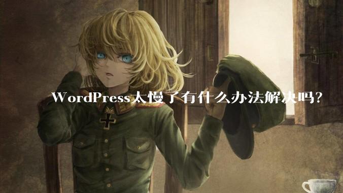 WordPress太慢了有什么办法解决吗？
